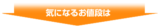 �l�ɍD�����b���������@�C�ɂȂ邨�l�i